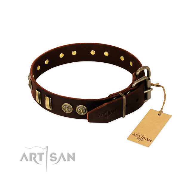 Reliable adornments on natural leather dog collar for your dog