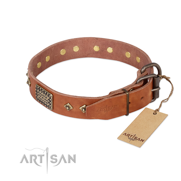 Natural leather dog collar with corrosion resistant fittings and embellishments