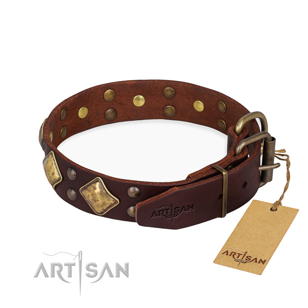 Full grain natural leather dog collar with unique rust-proof adornments