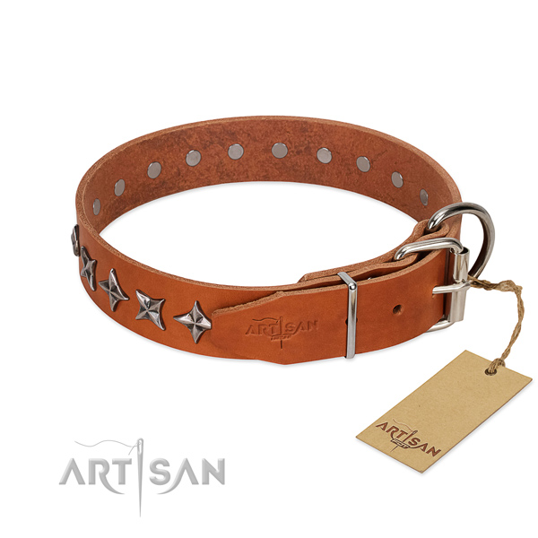 Daily use studded dog collar of reliable leather