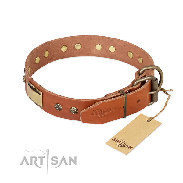 Natural genuine leather dog collar with reliable fittings and adornments