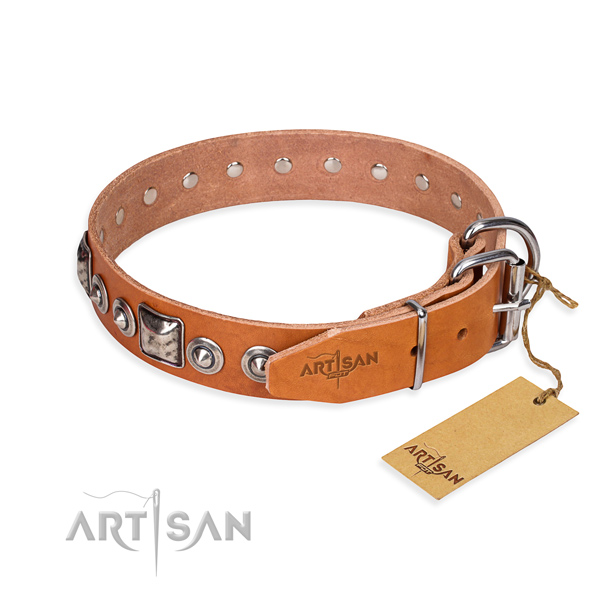 Durable leather dog collar made for fancy walking