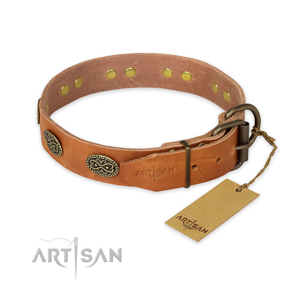 Strong fittings on leather collar for basic training your four-legged friend