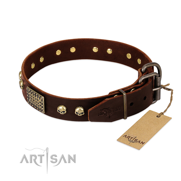 Corrosion resistant hardware on handy use dog collar