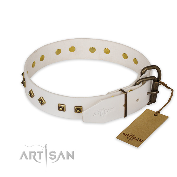 Reliable fittings on leather collar for fancy walking your dog
