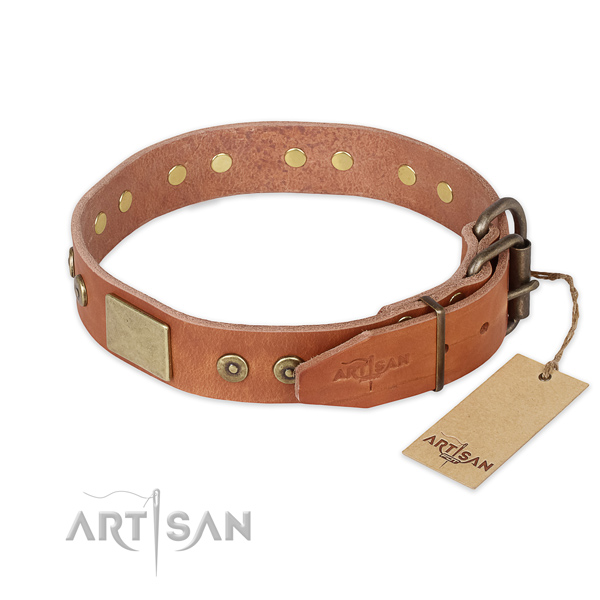 Corrosion proof traditional buckle on genuine leather collar for basic training your dog