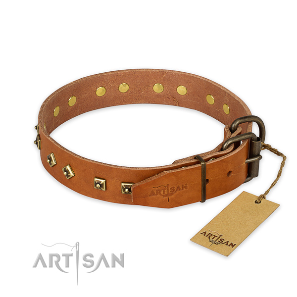 Durable buckle on natural leather collar for fancy walking your pet