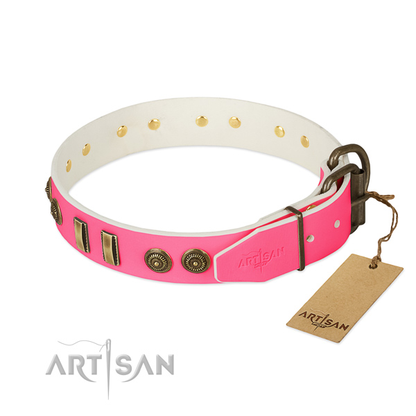 Rust resistant decorations on full grain leather dog collar for your four-legged friend