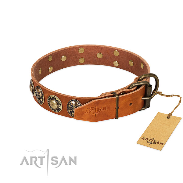 Rust-proof buckle on daily walking dog collar
