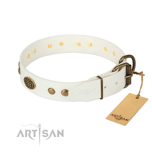 Rust resistant traditional buckle on full grain natural leather dog collar for your four-legged friend