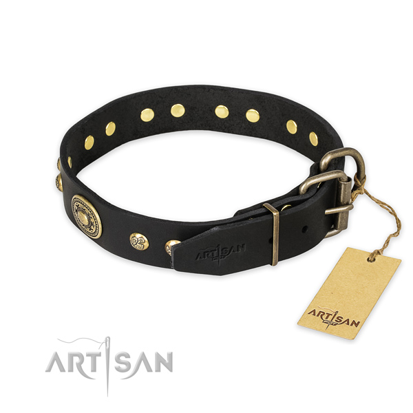Durable hardware on full grain genuine leather collar for fancy walking your canine