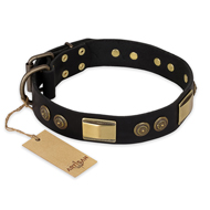 "Ancient Egypt" FDT Artisan Leather English Bulldog Collar with Old Bronze Look Decorations "Ancient Egypt" FDT Artisan Leather English Bulldog Collar with Old Bronze Look Decorations