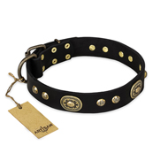 "High Fashion" FDT Artisan Studded with Plates Black Leather English Bulldog Collar "High Fashion" FDT Artisan Studded with Plates Black Leather English Bulldog Collar