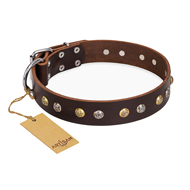"Golden"n"Silver Luxury" FDT Artisan Leather English Bulldog Collar with Engraved Studs "Golden"n"Silver Luxury" FDT Artisan Leather English Bulldog Collar with Engraved Studs