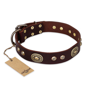 "Breath of Elegance" FDT Artisan Decorated with Plates Brown Leather English Bulldog Collar "Breath of Elegance" FDT Artisan Decorated with Plates Brown Leather English Bulldog Collar