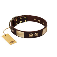 "Sense of Freedom" FDT Artisan Brown Leather English Bulldog Collar with Old Bronze-Plated Studs and Plates