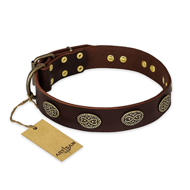 "Chocolate kiss" FDT Artisan Leather English Bulldog Collar with Old Bronze Look Oval Plates "Chocolate kiss" FDT Artisan Leather English Bulldog Collar with Old Bronze Look Oval Plates