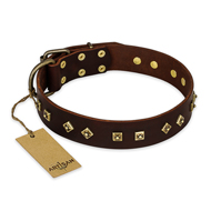 "Fashion Studs" FDT Artisan Decorated Leather English Bulldog Collar with Old Bronze-Plated Steel Hardware "Fashion Studs" FDT Artisan Decorated Leather English Bulldog Collar with Old Bronze-Plated Steel Hardware