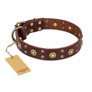 "Caprice of Fashion" FDT Artisan Brown Leather English Bulldog Collar with Round Decorations "Caprice of Fashion" FDT Artisan Brown Leather English Bulldog Collar with Round Decorations