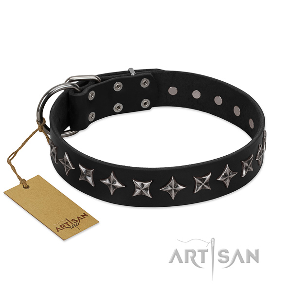 Comfortable wearing dog collar of reliable natural leather with embellishments