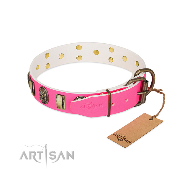 Rust-proof traditional buckle on full grain natural leather dog collar for your canine