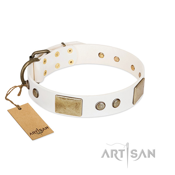 Easy wearing natural leather dog collar for walking your doggie