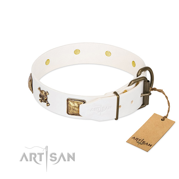 Impressive full grain natural leather dog collar with reliable decorations