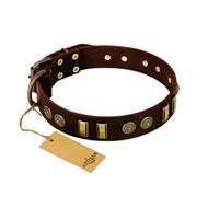 "Golden Elegance" FDT Artisan Brown Leather English Bulldog Collar with Old Bronze-like Decorations "Golden Elegance" FDT Artisan Brown Leather English Bulldog Collar with Old Bronze-like Decorations
