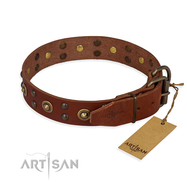 Reliable buckle on genuine leather collar for your impressive doggie