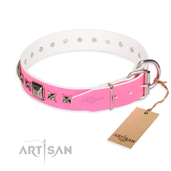 High quality embellished dog collar of full grain leather