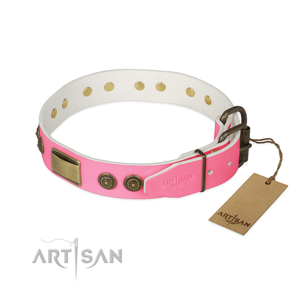 Rust-proof D-ring on daily use dog collar