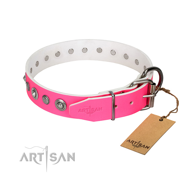 Reliable natural leather dog collar with extraordinary studs