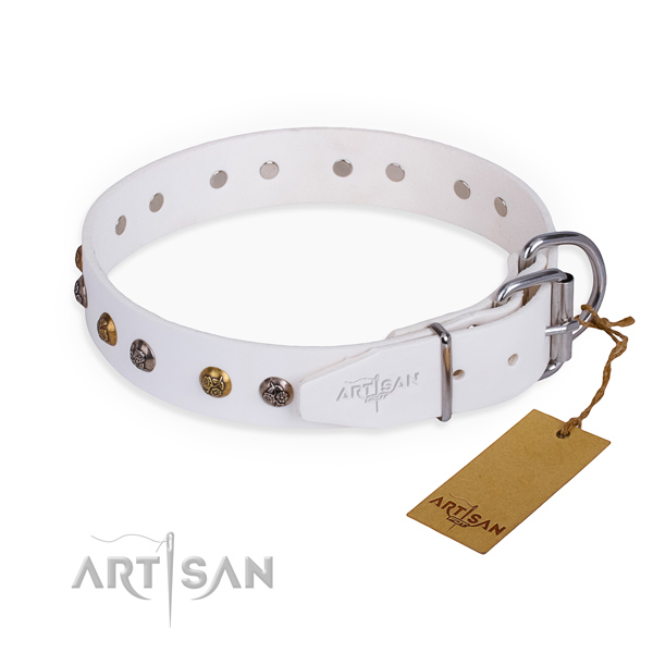 Natural leather dog collar with unique rust resistant studs