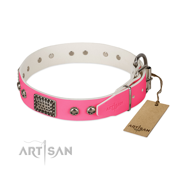 Corrosion proof decorations on daily use dog collar