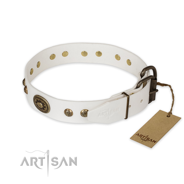 Corrosion resistant hardware on full grain natural leather collar for fancy walking your doggie