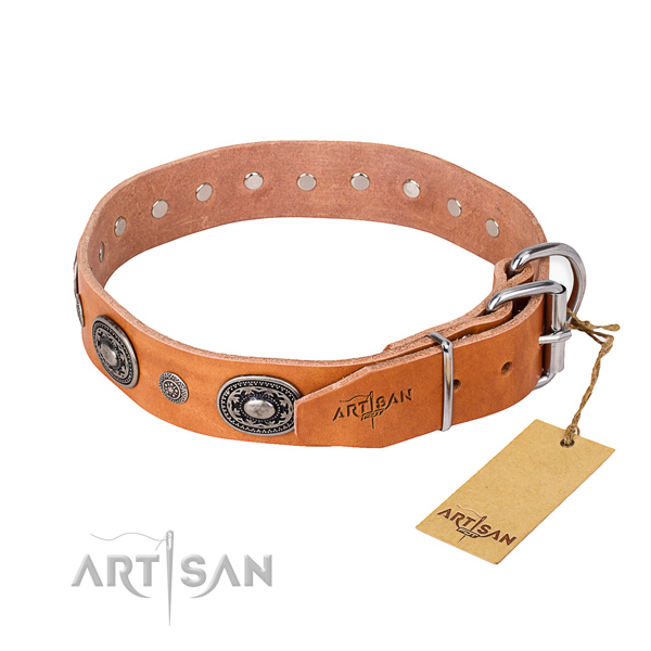 Strong full grain leather dog collar handcrafted for everyday walking