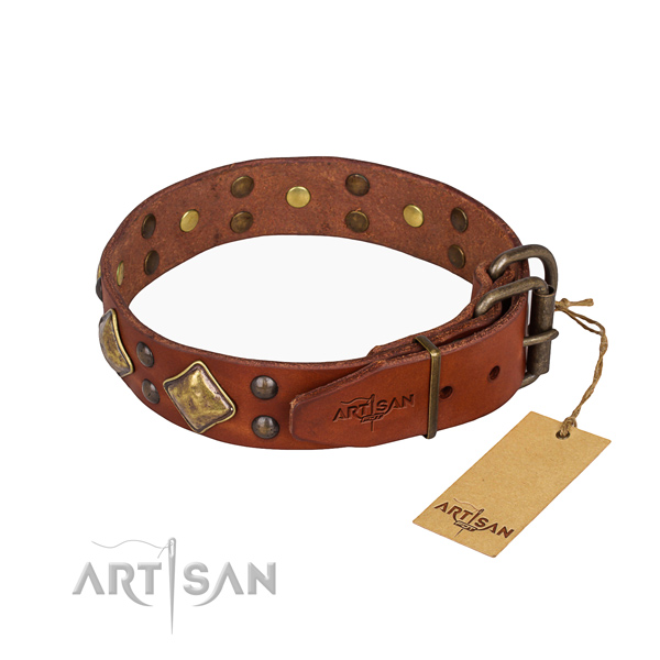 Genuine leather dog collar with designer reliable embellishments