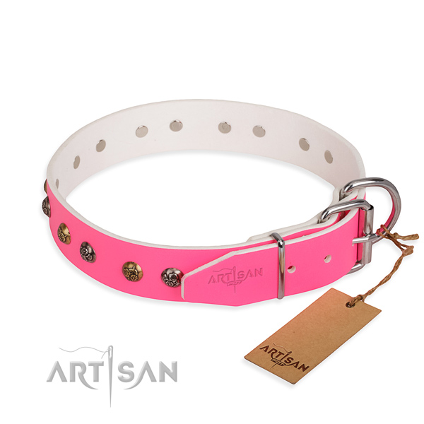 Leather dog collar with trendy durable studs