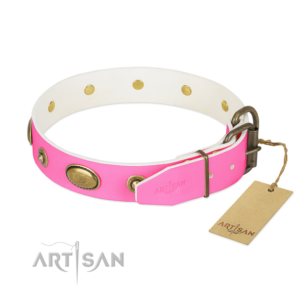 Reliable studs on genuine leather dog collar for your dog