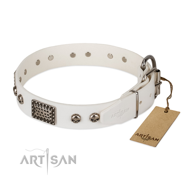 Rust resistant traditional buckle on stylish walking dog collar