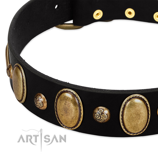 Genuine leather dog collar with trendy embellishments