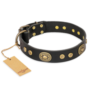"Golden Radiance" FDT Artisan Black Leather English Bulldog Collar with Old Bronze Look Ovals and Circles "Golden Radiance" FDT Artisan Black Leather English Bulldog Collar with Old Bronze Look Ovals and Circles