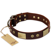 "Shining Armour" FDT Artisan Brown Leather English Bulldog Collar with Decorations