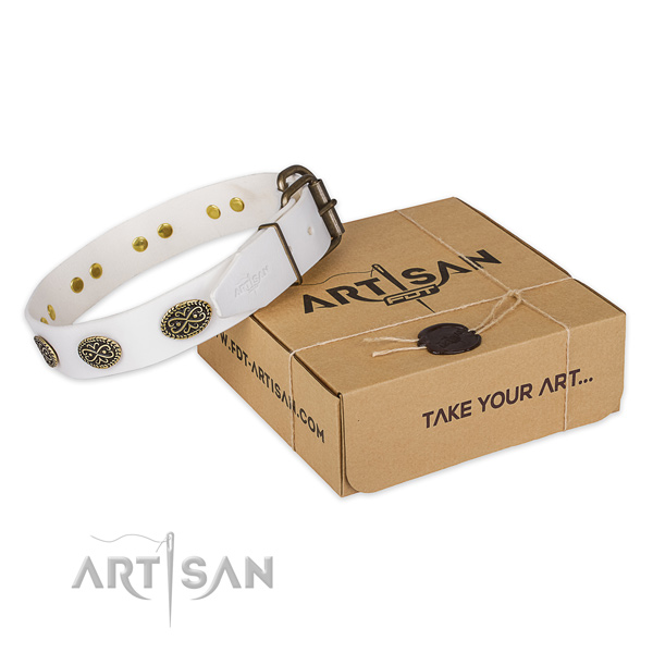 Corrosion resistant D-ring on full grain leather dog collar for everyday use