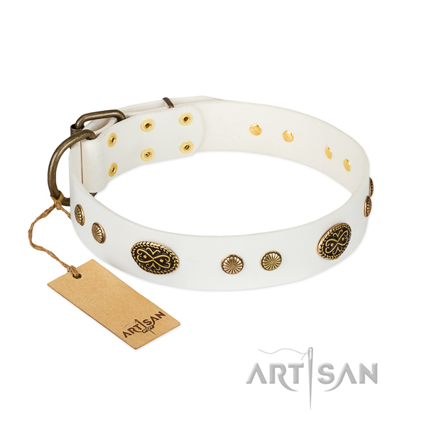 Durable adornments on leather dog collar for your dog