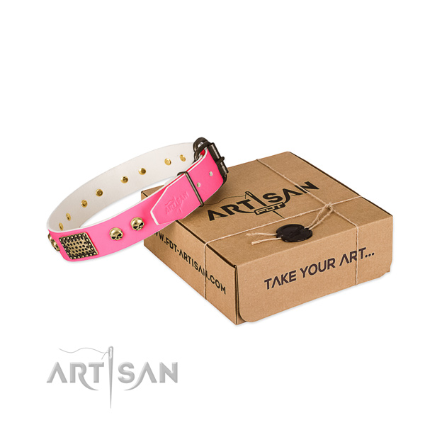 Reliable decorations on dog collar for everyday use