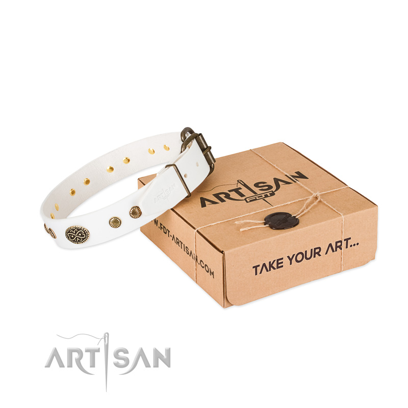 Corrosion resistant decorations on leather dog collar for your canine