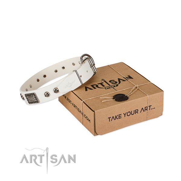 Reliable decorations on dog collar for comfy wearing