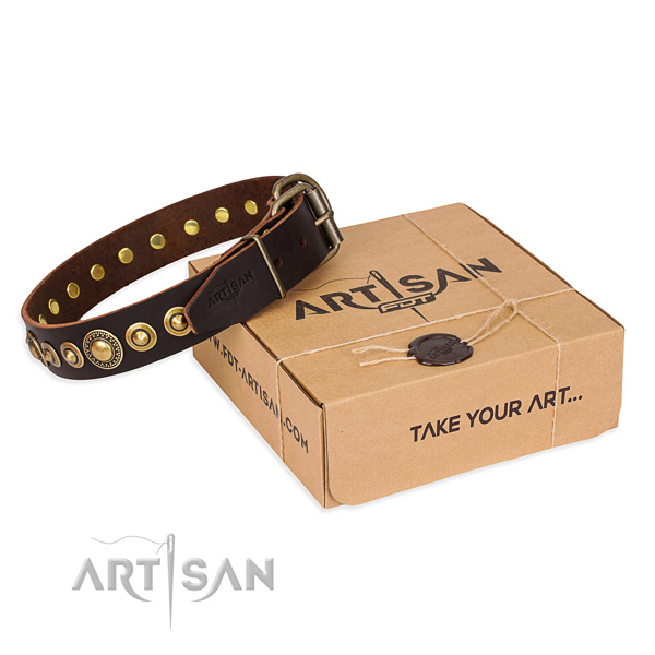 Reliable full grain genuine leather dog collar handcrafted for basic training