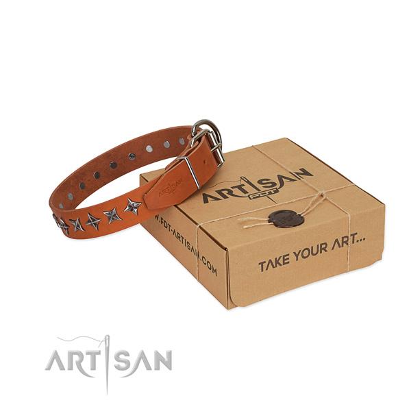 Comfy wearing dog collar of top notch full grain genuine leather with studs